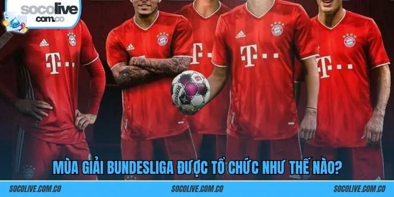 Mùa giải Bundesliga được tổ chức như thế nào?