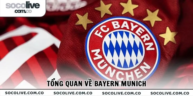 Tổng quan về Bayern Munich