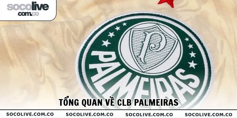 Tổng quan về CLB Palmeiras
