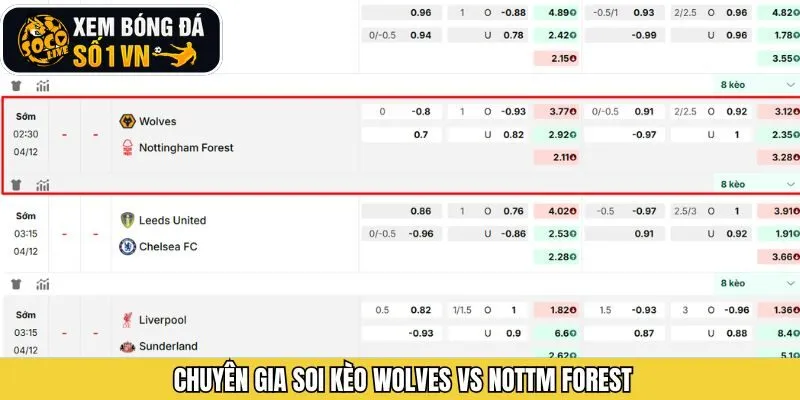 Soi kèo nhà cái từ chuyên gia Socolive