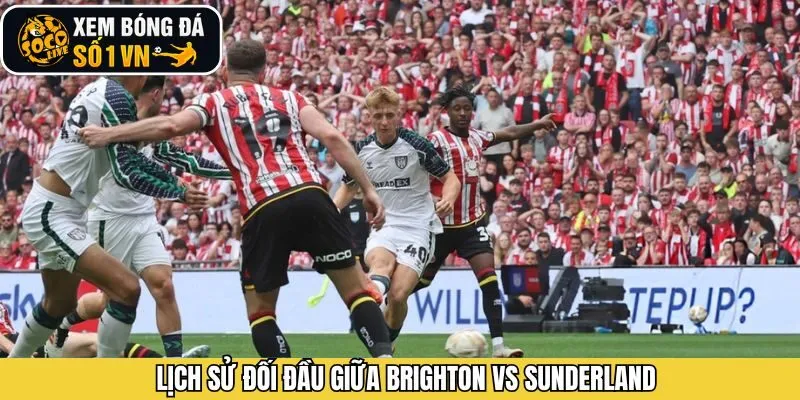 Lịch sử đối đầu của Brighton vs Sunderland