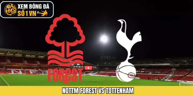 Nottm Forest Vs Tottenham 14/12 - Nhận Định Chi Tiết Từ Socolive