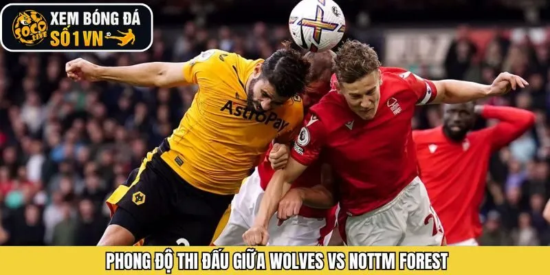 Phong độ hiện tại CLB Wolves - Nottm Forest