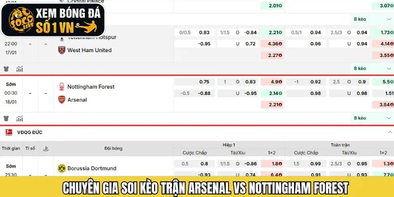 Soi kèo trận đấu chuẩn xác nhất