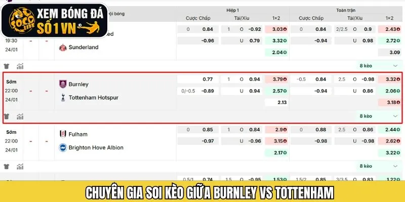 Soi kèo trận đấu giữa Burnley vs Tottenham chi tiết nhất