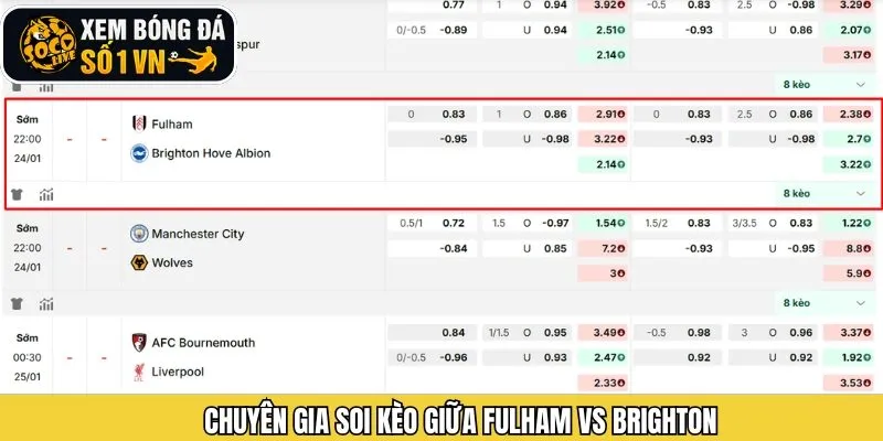 Phân tích tỷ lệ kèo cho trận đấu giữa Fulham vs Brighton sắp tới