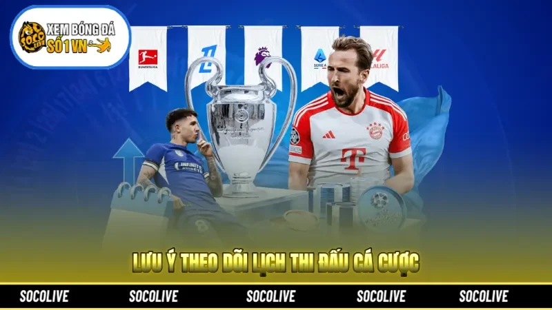 Lưu ý theo dõi lịch thi đấu cá cược